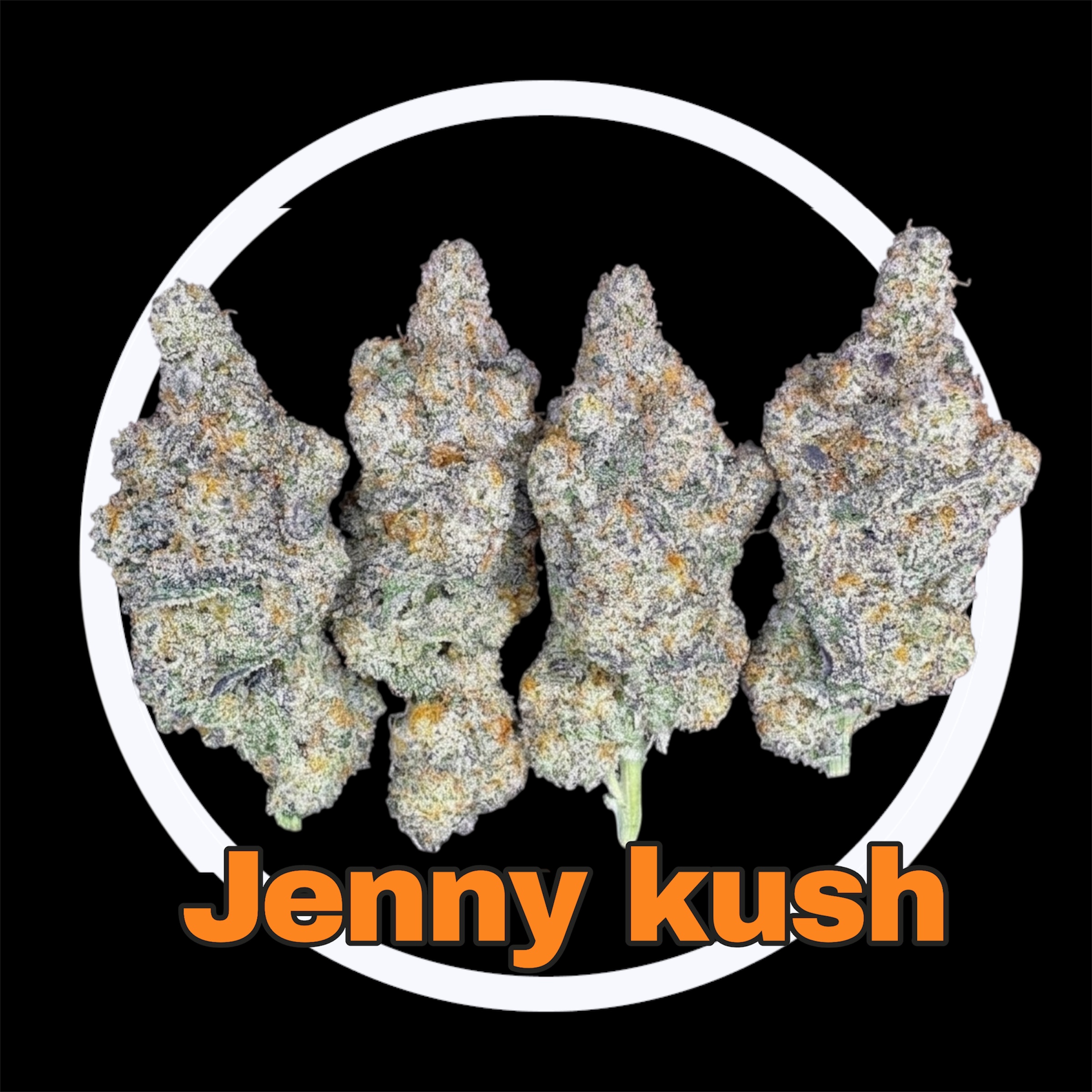 20-03-26 09-24-57pm.jpg